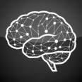 DataForB2B logo
